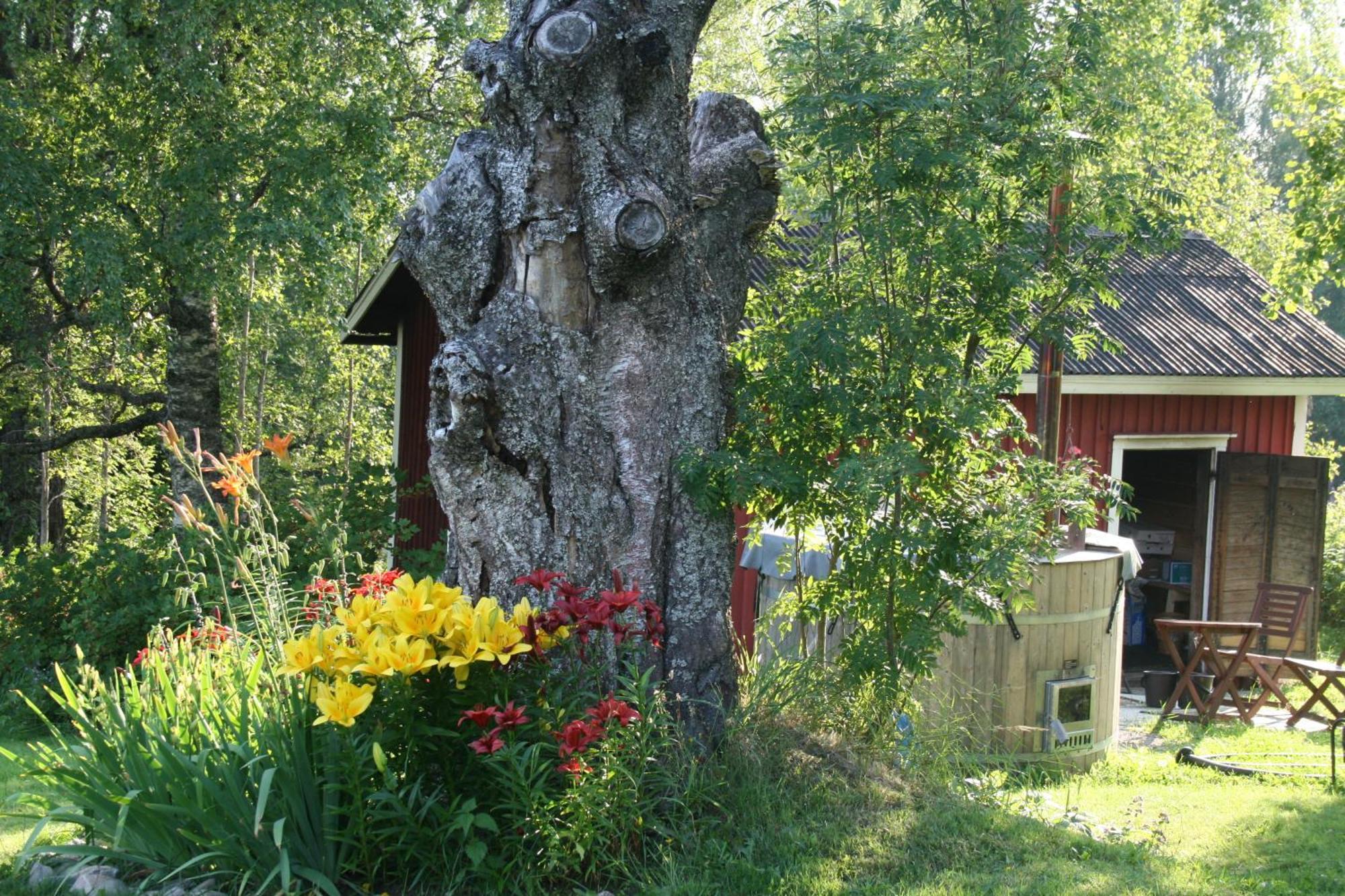 Valkeisen Loma Villa Ähtäri Exteriör bild